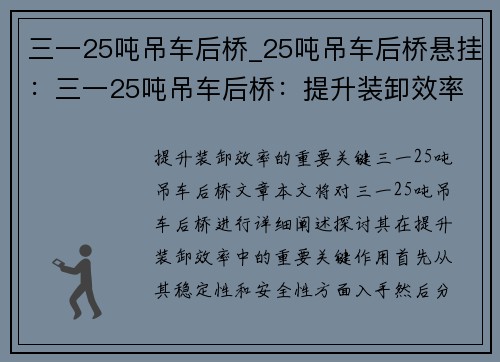 三一25吨吊车后桥_25吨吊车后桥悬挂：三一25吨吊车后桥：提升装卸效率的重要关键