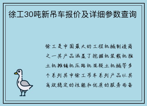 徐工30吨新吊车报价及详细参数查询