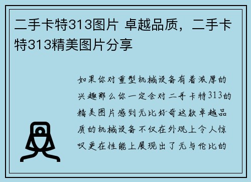 二手卡特313图片 卓越品质，二手卡特313精美图片分享