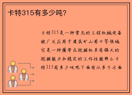 卡特315有多少吨？